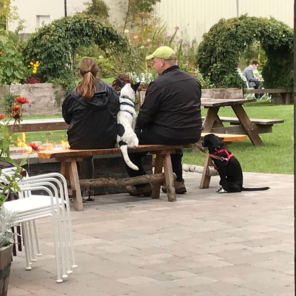 Couple with dog in garden seating